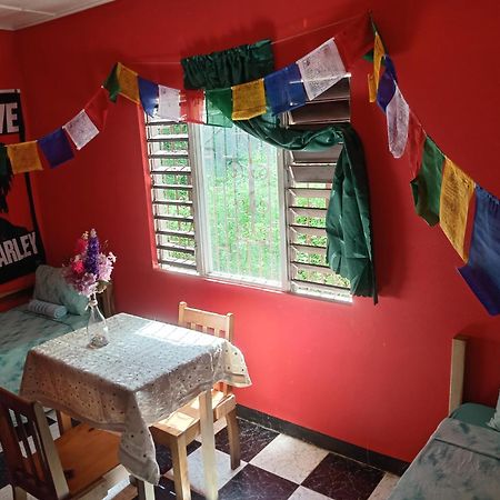Toga Guest House Port Antonio Ngoại thất bức ảnh