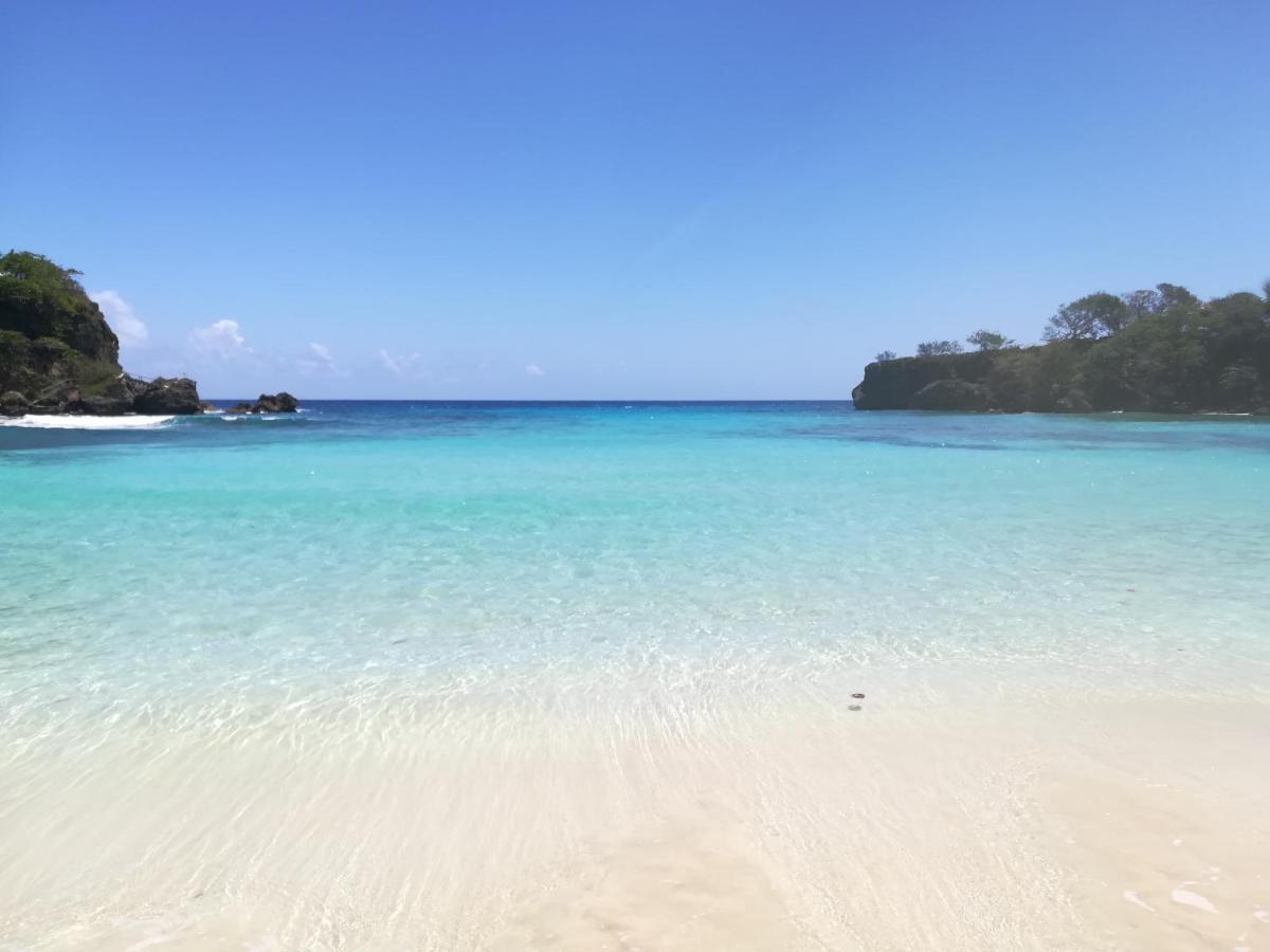 Toga Guest House Port Antonio Ngoại thất bức ảnh