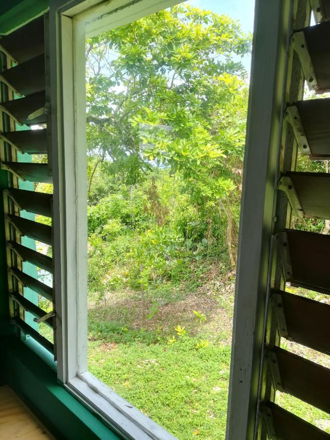 Toga Guest House Port Antonio Ngoại thất bức ảnh