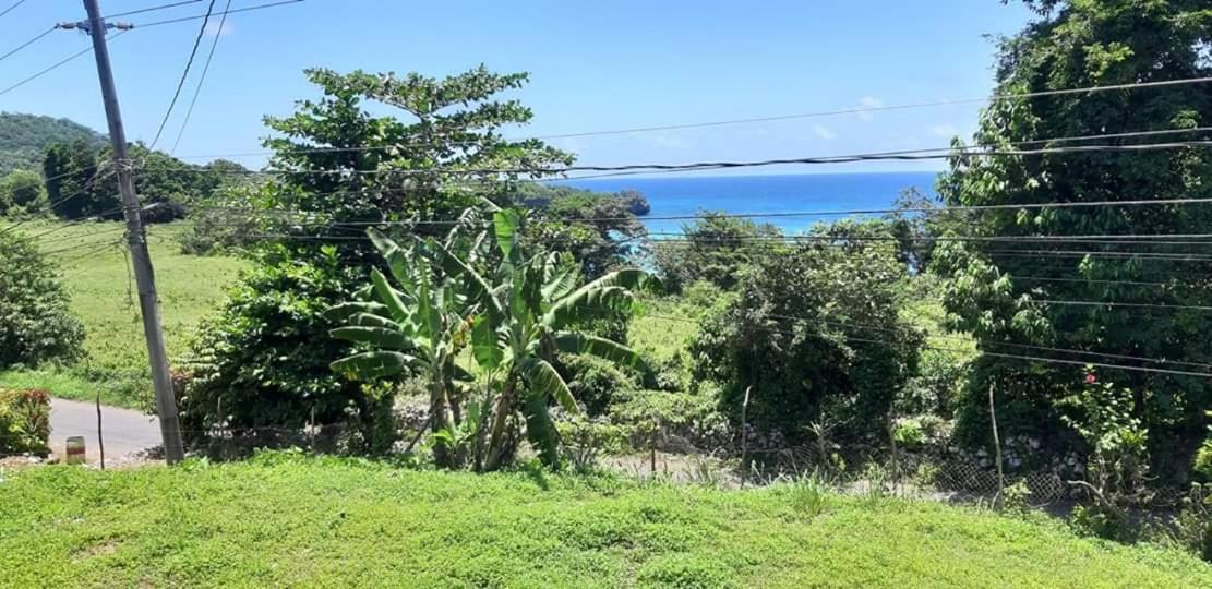 Toga Guest House Port Antonio Ngoại thất bức ảnh